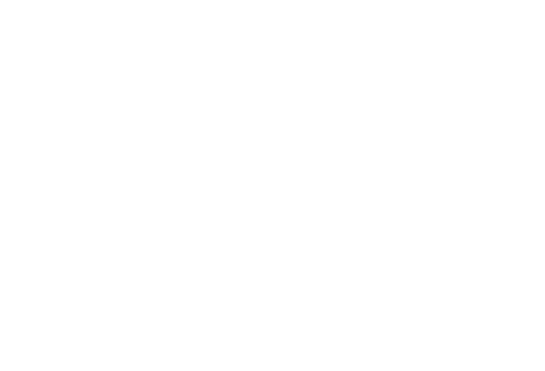 FLAVIS Renal Diet Ecosistema